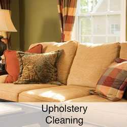 upholstery cleaning link