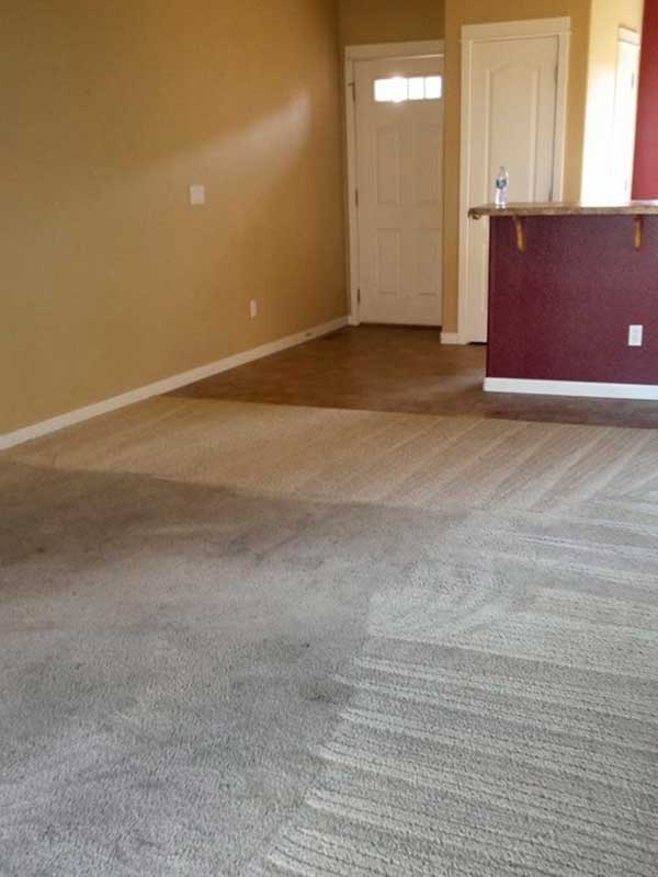 Carpet Cleaning in Powell Butte
