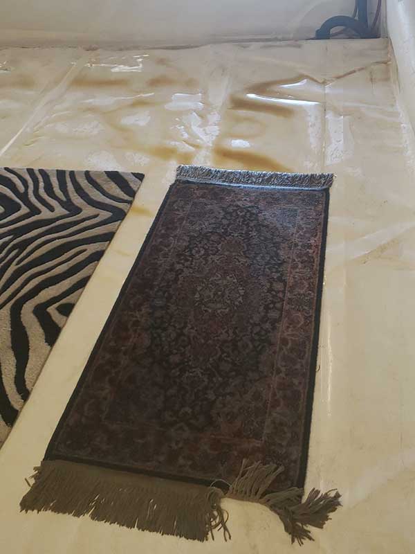 Carpet Cleaning in Terrebonne, OR