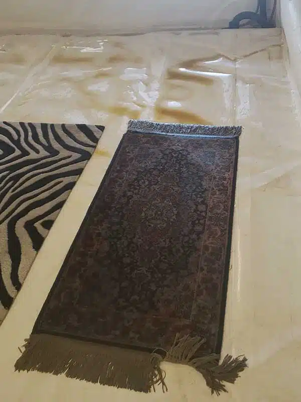 Carpet Cleaning in Terrebonne, OR