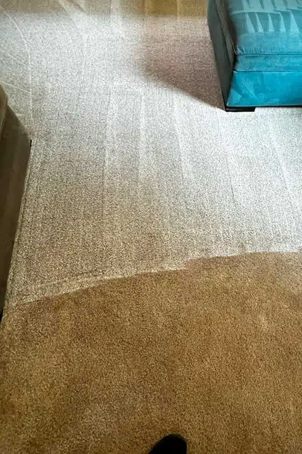 Residential Carpet Cleaning in Bend